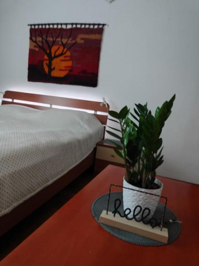 Apartma Marko Rogaška